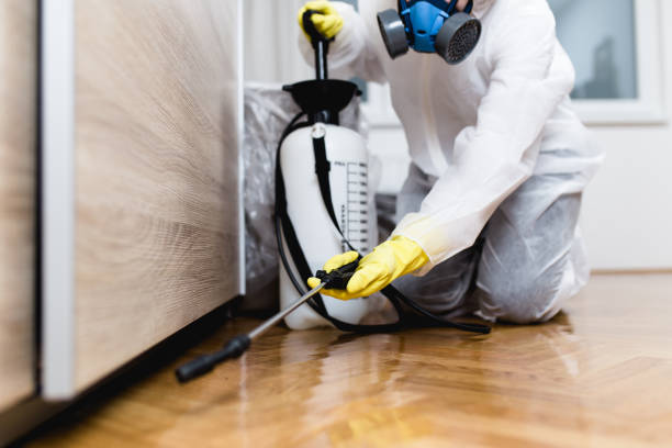 Best Rat Extermination Near Me  in Duquesne, PA