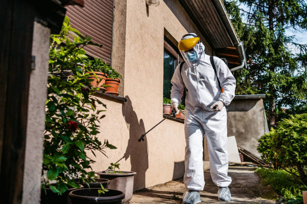 Best Wasp Removal Services  in Duquesne, PA