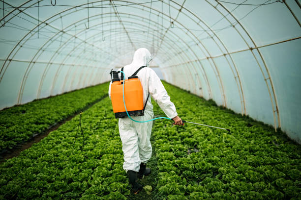 Best Best Pest Control Companies  in Duquesne, PA