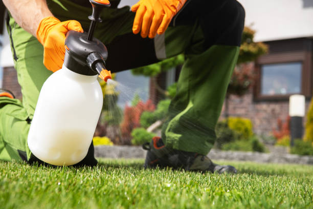 Best Cockroach Control Services  in Duquesne, PA