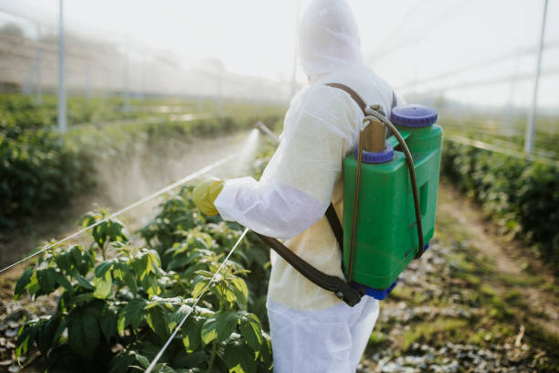 Best Emergency Pest Control  in Duquesne, PA